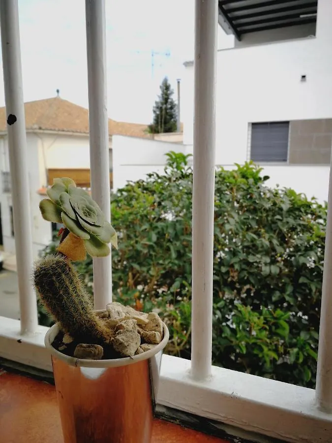 Apartamento Ca' Vaschino Granada España